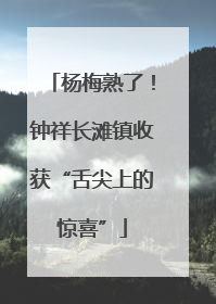 杨梅熟了！钟祥长滩镇收获“舌尖上的惊喜”