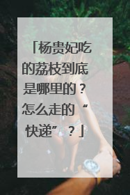 杨贵妃吃的荔枝到底是哪里的？怎么走的“快递”？
