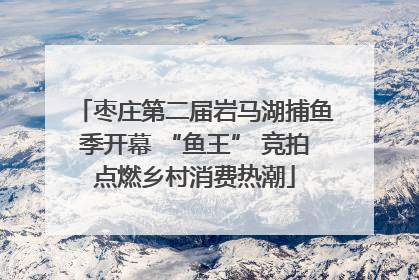 枣庄第二届岩马湖捕鱼季开幕 “鱼王” 竞拍点燃乡村消费热潮