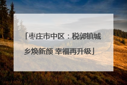 枣庄市中区：税郭镇城乡焕新颜 幸福再升级