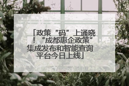 政策“码”上通晓！“成都惠企政策”集成发布和智能查询平台今日上线