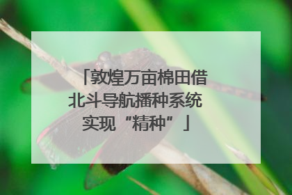 敦煌万亩棉田借北斗导航播种系统实现“精种”