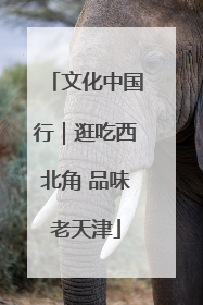 文化中国行｜逛吃西北角 品味老天津