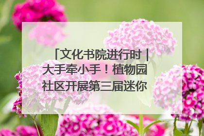 文化书院进行时｜大手牵小手！植物园社区开展第三届迷你马拉松活动