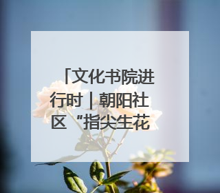 文化书院进行时｜朝阳社区“指尖生花 古韵悠扬”公益课堂开课了