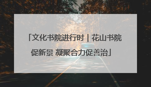 文化书院进行时｜花山书院促新景 凝聚合力促善治