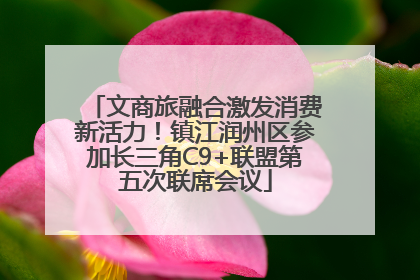 文商旅融合激发消费新活力！镇江润州区参加长三角C9+联盟第五次联席会议