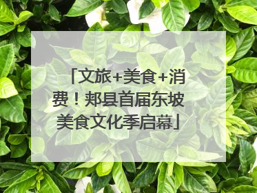 文旅+美食+消费！郏县首届东坡美食文化季启幕