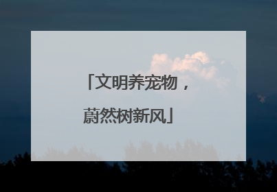 文明养宠物，蔚然树新风
