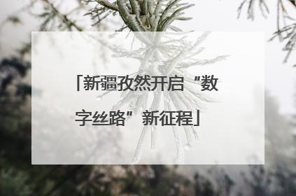 新疆孜然开启“数字丝路”新征程