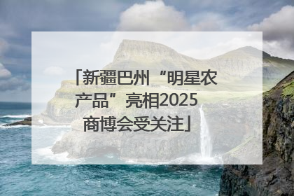 新疆巴州“明星农产品”亮相2025商博会受关注