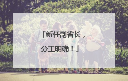 新任副省长，分工明确！