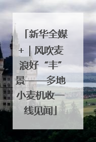 新华全媒+｜风吹麦浪好“丰”景——多地小麦机收一线见闻