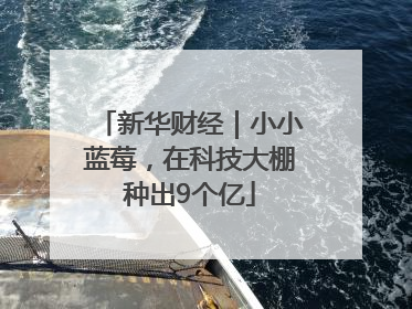 新华财经｜小小蓝莓，在科技大棚种出9个亿