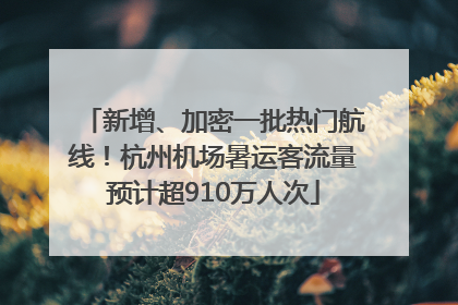 新增、加密一批热门航线！杭州机场暑运客流量预计超910万人次