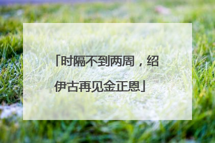 时隔不到两周，绍伊古再见金正恩