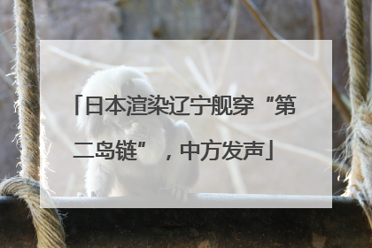 日本渲染辽宁舰穿“第二岛链”，中方发声