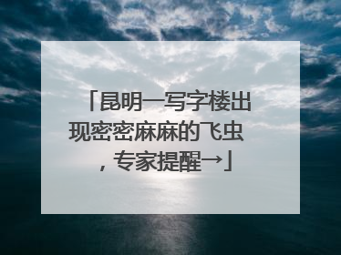 昆明一写字楼出现密密麻麻的飞虫，专家提醒→