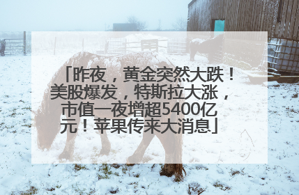 昨夜，黄金突然大跌！美股爆发，特斯拉大涨，市值一夜增超5400亿元！苹果传来大消息