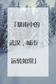暴雨中的武汉，城市运转如常