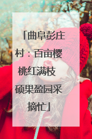 曲阜彭庄村：百亩樱桃红满枝 硕果盈园采摘忙