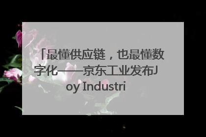 最懂供应链，也最懂数字化——京东工业发布Joy Industrial 重塑工业未来