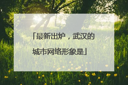 最新出炉，武汉的城市网络形象是