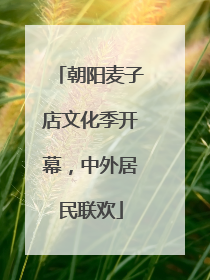 朝阳麦子店文化季开幕，中外居民联欢