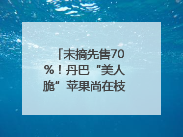 未摘先售70%！丹巴“美人脆”苹果尚在枝头就被预订｜长征路上看四川
