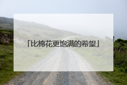 比棉花更饱满的希望