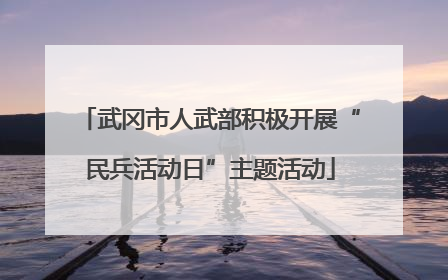 武冈市人武部积极开展“民兵活动日”主题活动