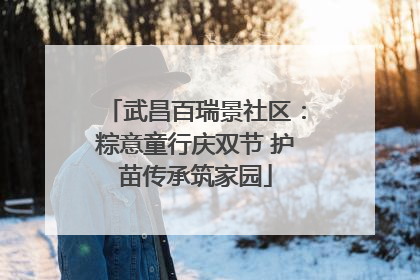武昌百瑞景社区：粽意童行庆双节 护苗传承筑家园