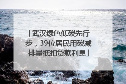武汉绿色低碳先行一步，39位居民用碳减排量抵扣贷款利息