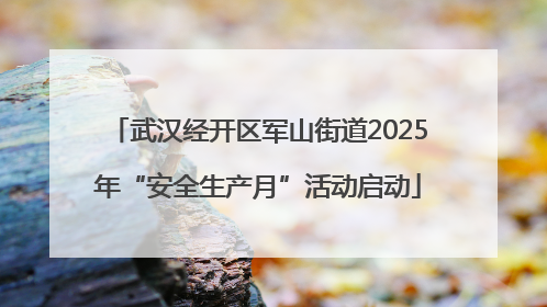 武汉经开区军山街道2025年“安全生产月”活动启动