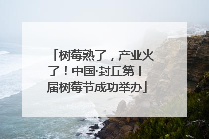 树莓熟了，产业火了！中国·封丘第十届树莓节成功举办