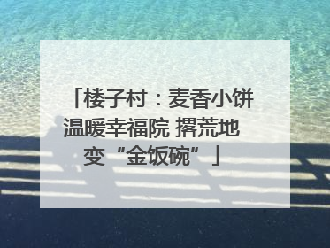 楼子村：麦香小饼温暖幸福院 撂荒地变“金饭碗”