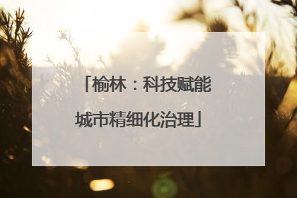 榆林：科技赋能城市精细化治理