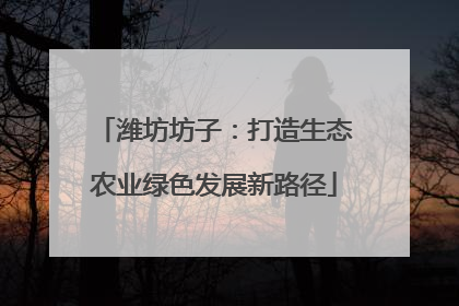潍坊坊子：打造生态农业绿色发展新路径