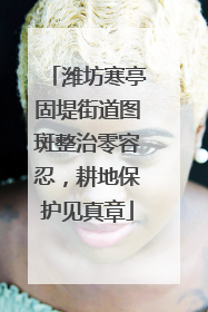潍坊寒亭固堤街道图斑整治零容忍，耕地保护见真章