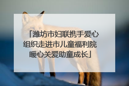 潍坊市妇联携手爱心组织走进市儿童福利院暖心关爱助童成长
