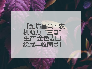 潍坊昌邑：农机助力“三夏”生产 金色麦田绘就丰收图景