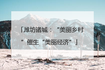 潍坊诸城：“美丽乡村”催生“美丽经济”