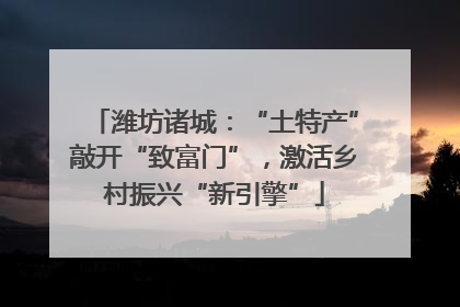 潍坊诸城：“土特产”敲开“致富门”，激活乡村振兴“新引擎”