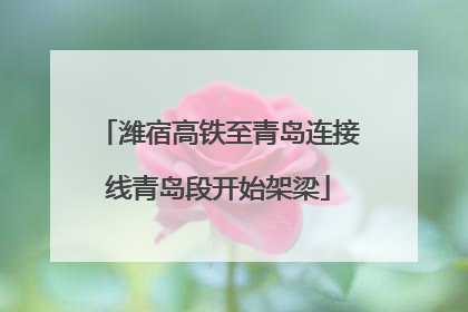 潍宿高铁至青岛连接线青岛段开始架梁
