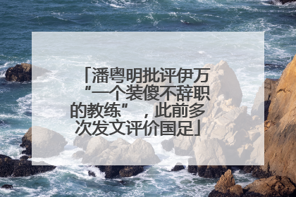 潘粤明批评伊万“一个装傻不辞职的教练”，此前多次发文评价国足