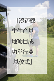 澄迈椰牛生产基地项目成功举行奠基仪式