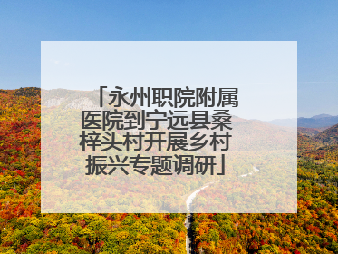 永州职院附属医院到宁远县桑梓头村开展乡村振兴专题调研