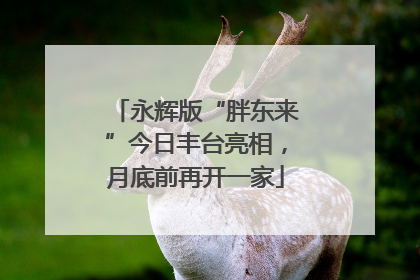 永辉版“胖东来”今日丰台亮相，月底前再开一家