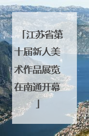 江苏省第十届新人美术作品展览在南通开幕