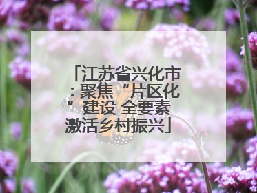 江苏省兴化市：聚焦“片区化”建设 全要素激活乡村振兴